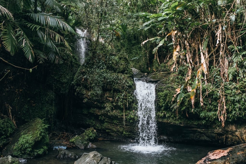 Juan Diego Falls, El Yunque Rainforest