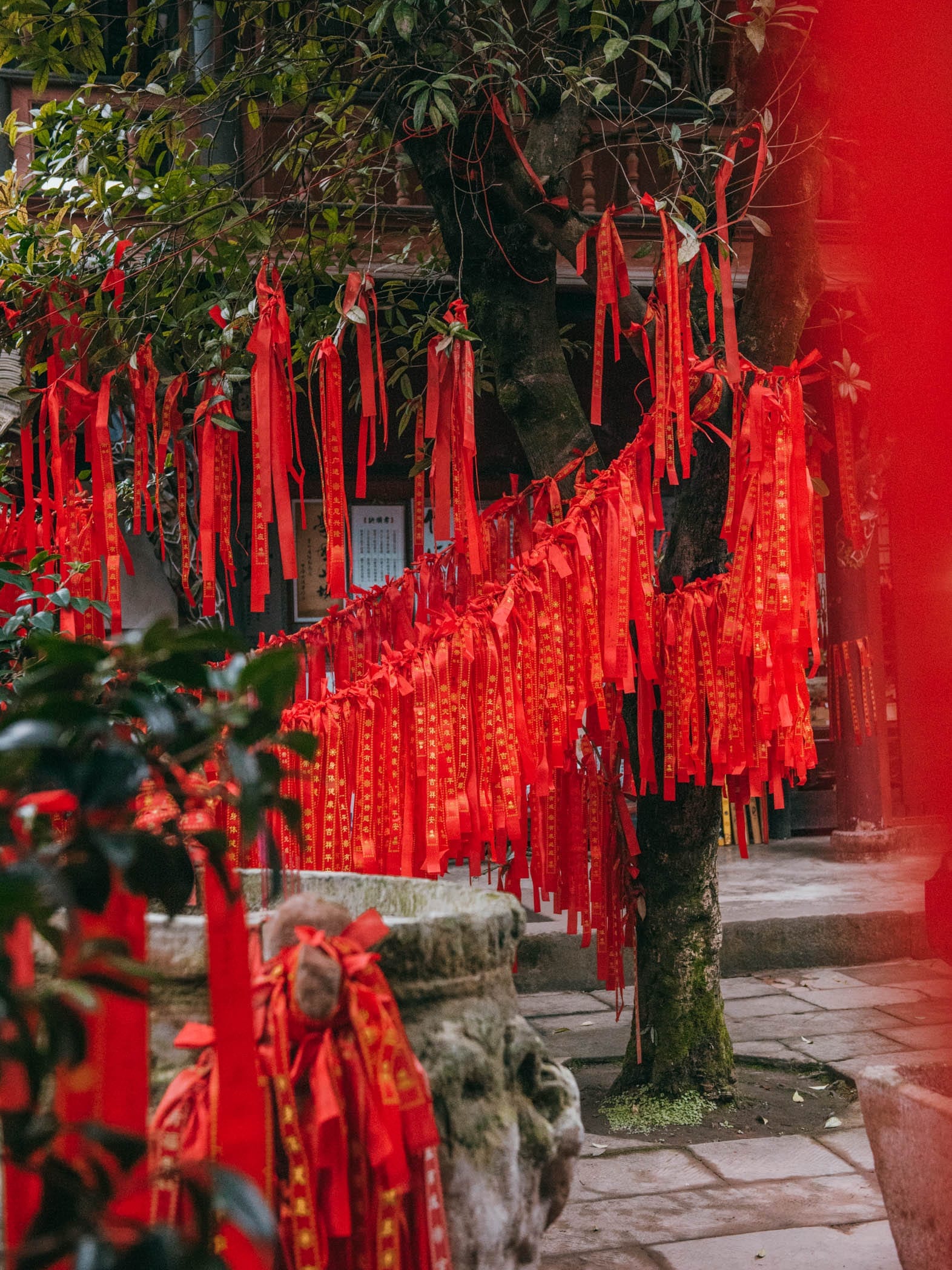 Things To Do In Chengdu China