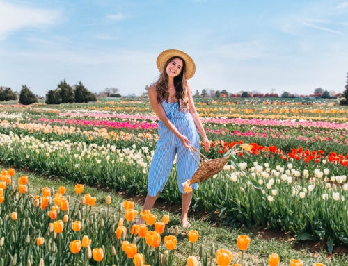 Visiting Texas Tulips: Everything You Need To Know