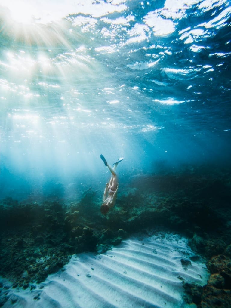 Snorkeling Turks and Caicos