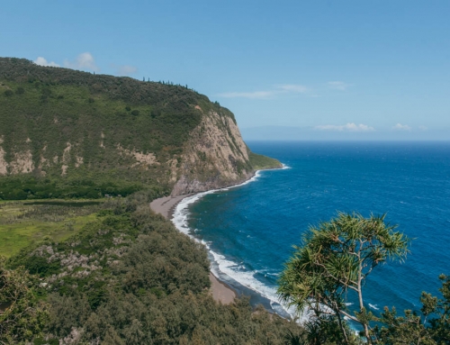 The Ultimate Guide To The Waipio Valley Hike