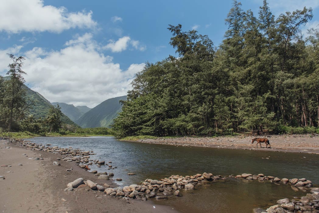 The Ultimate Guide To The Waipio Valley Hike - Big Island Bucketlist