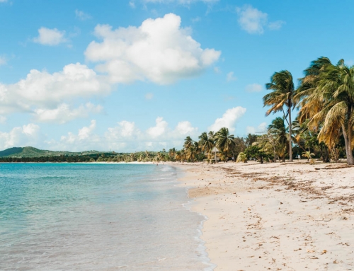 Day Trip To Vieques Puerto Rico | Things To Do & How To Get There