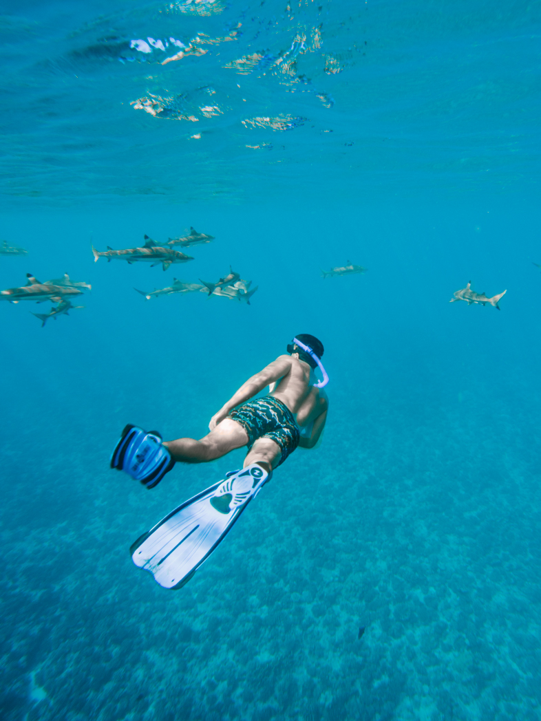 Things to do in Bora Bora