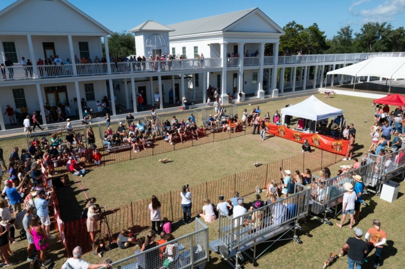 Things to do in Seaside, Florida: A Guide to the Perfect Beach Getaway