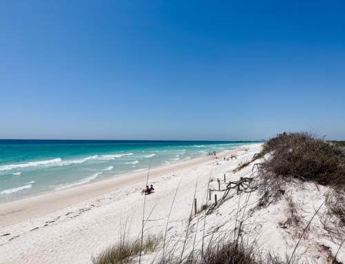 Things to Do in Panama City Beach, Florida: The Ultimate Guide