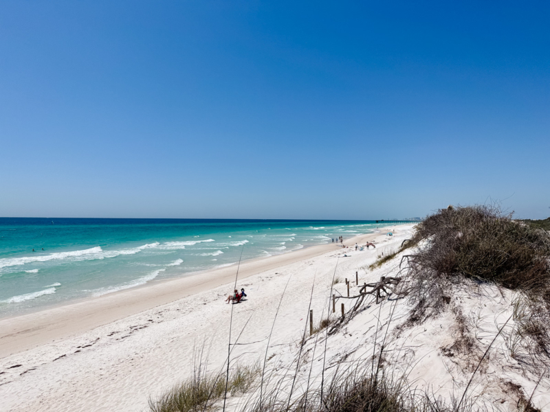 Discovering Panama City Beach, Florida: A Complete Guide