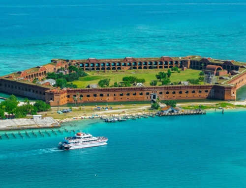 Your Ultimate Guide to Dry Tortugas National Park Day Trip