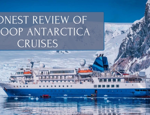 Honest Review of Swoop Antarctica Cruises