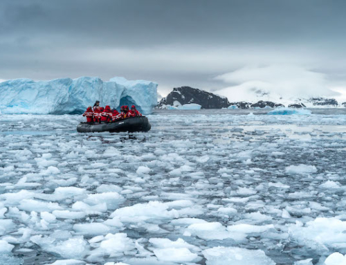 Antarctica Adventure with Oceanwide Expeditions