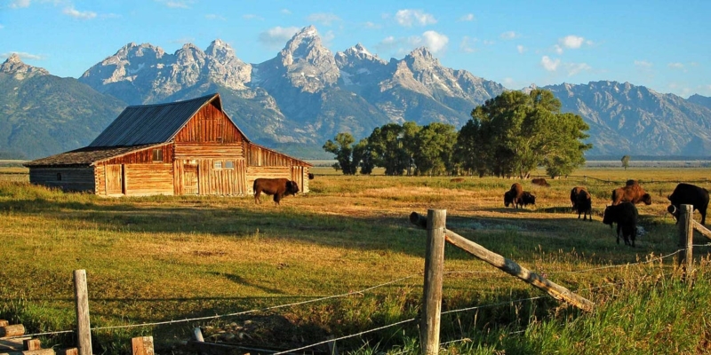 Jackson hole
