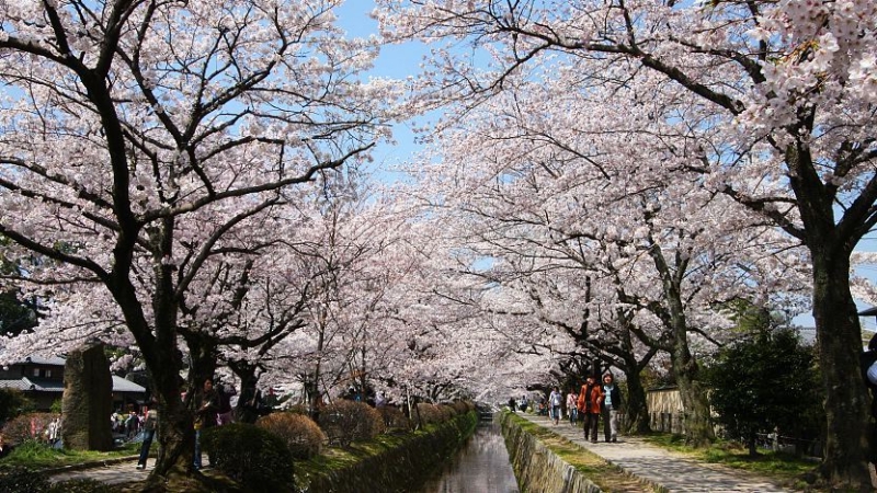 Philosopher’s Path