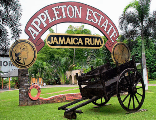 Appleton Estate Rum Tour in Jamaica: Your Practical Travel Guide