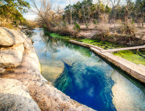 Your Ultimate Guide to Visiting Jacob’s Well