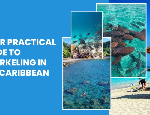 Your Practical Guide to Snorkeling in the Caribbean