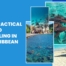 snorkeling in the caribbean
