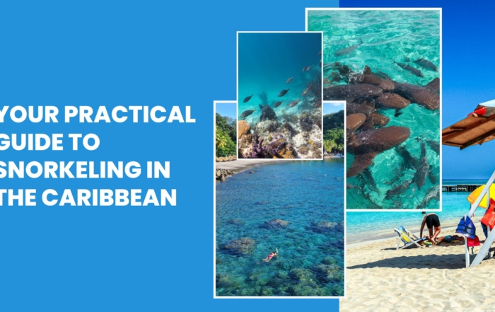 snorkeling in the caribbean