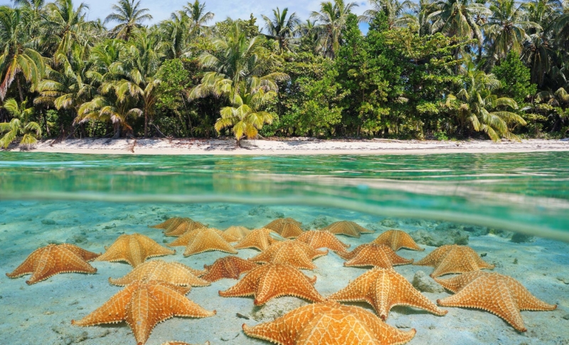 Starfish Point, Grand Cayman