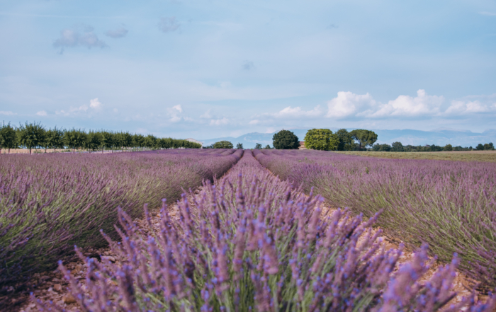South of France