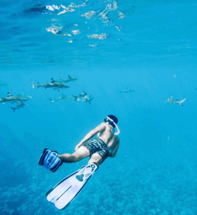 Moorea