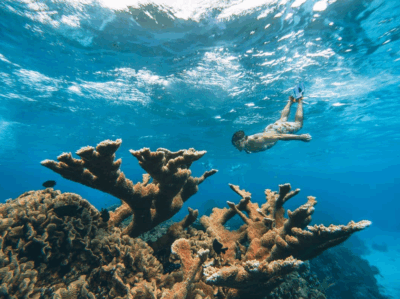 Freediving