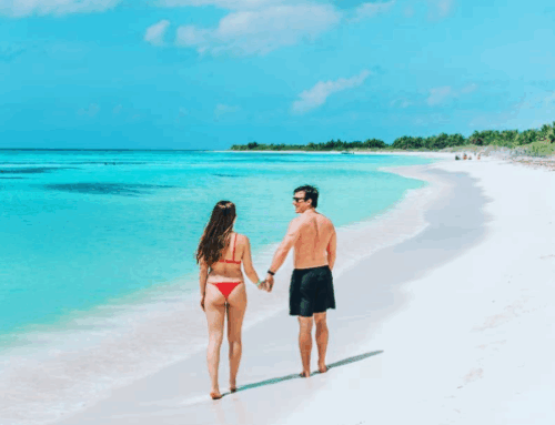 The Best Things To Do in Cozumel, Mexico