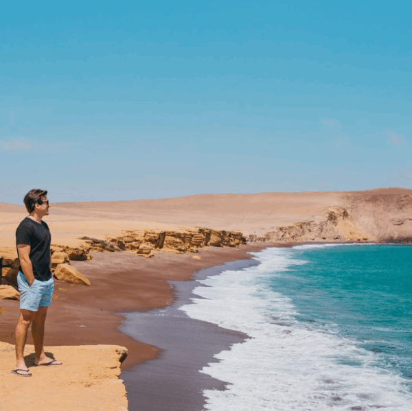 Paracas National Reserve