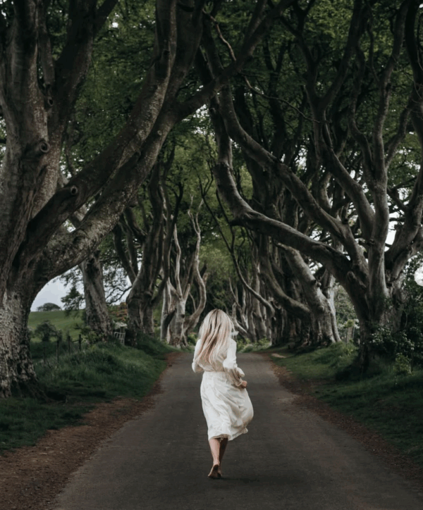 Dark Hedges