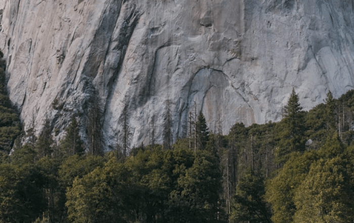 guide to yosemite park
