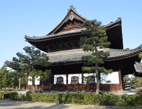 Discovering Kyoto: What to See, Do, and Expect on Your Visit