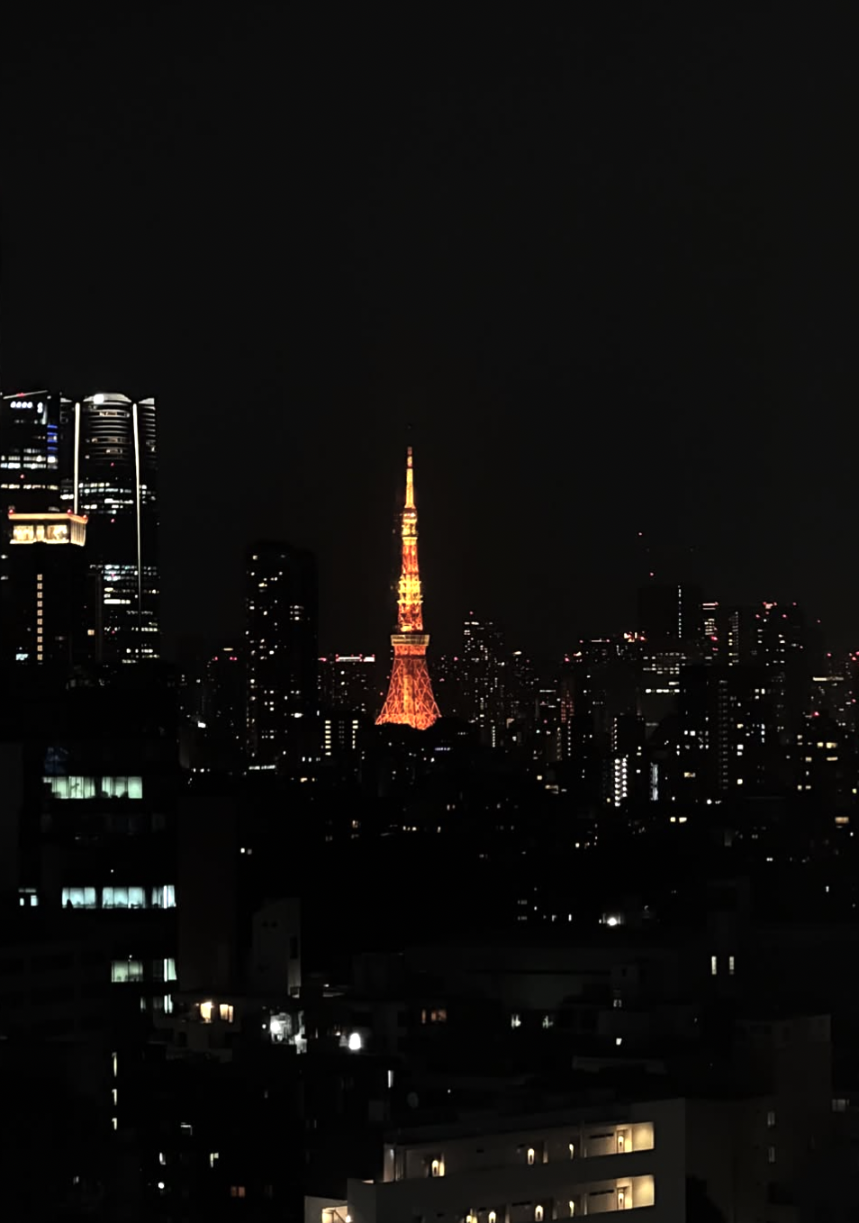 Screenshot 2025-11-08 at 9.11.01 AM