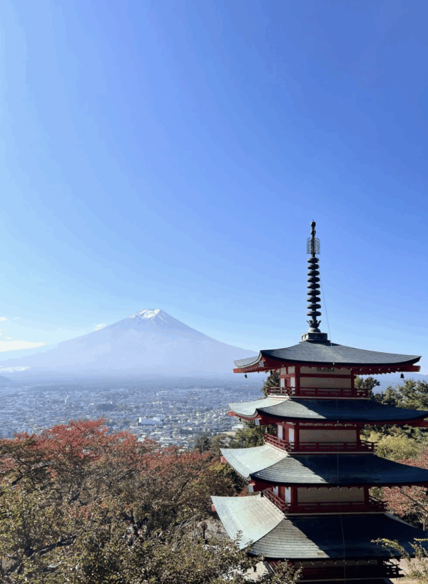 Screenshot 2025-11-15 at 2.08.52 PM Mt. Fuji