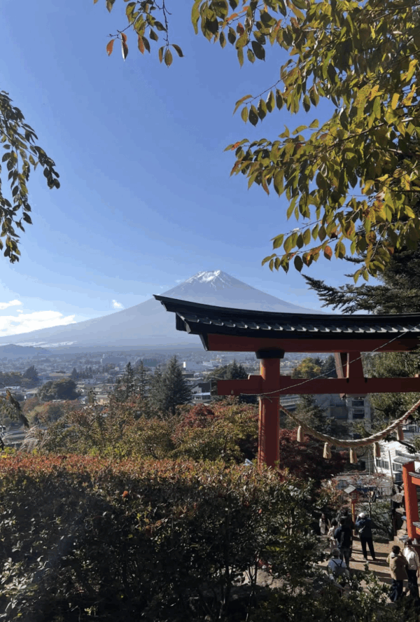 Screenshot 2025-11-15 at 2.09.39 PM Mt. Fuji