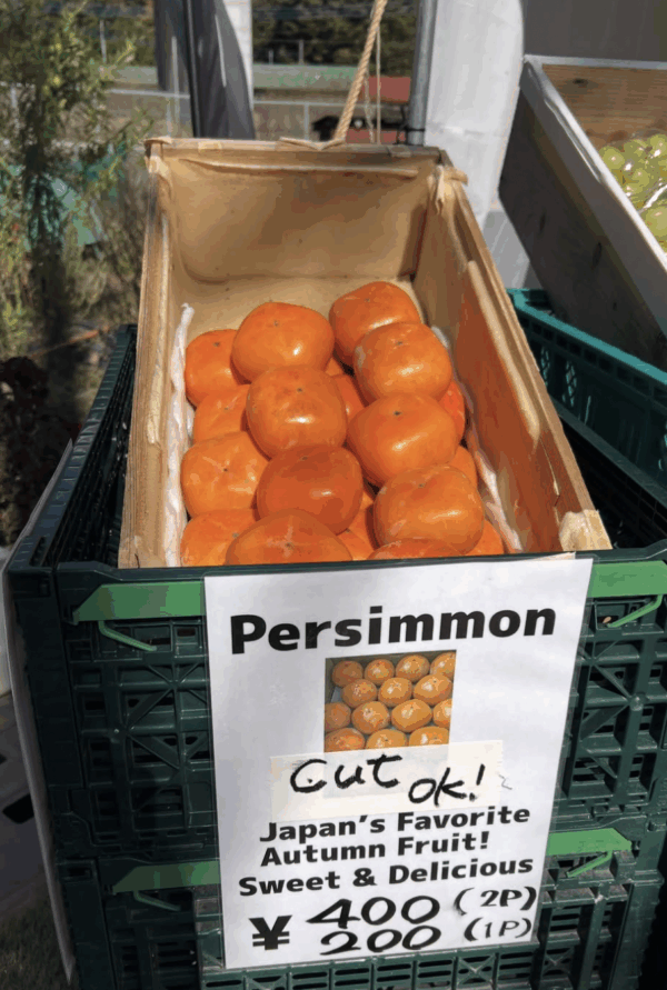 Screenshot 2025-11-15 at 2.10.57 PM