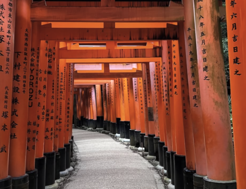 Japan Travel Tips: Food, Apps, and Money Hacks