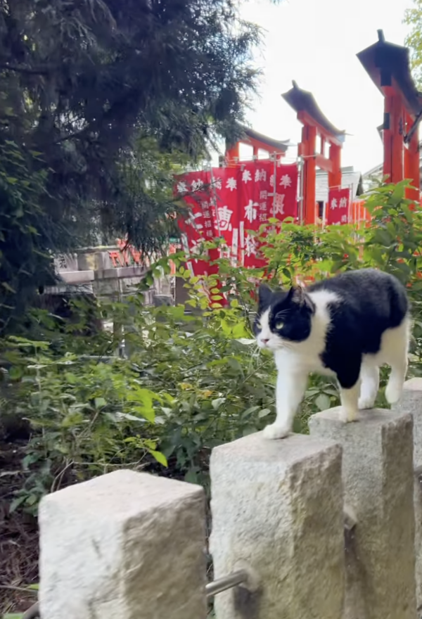 Screenshot 2025-12-13 at 10.04.55 AM