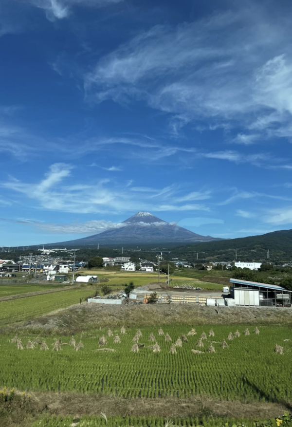 Screenshot 2025-12-26 at 8.56.57 AM