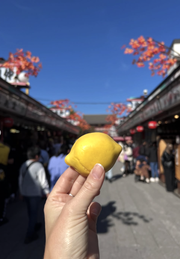 Screenshot 2025-12-26 at 8.57.33 AM