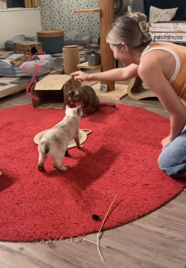 Screenshot 2025-12-26 at 8.58.19 AM