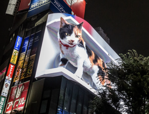 Day 8: Our Last Full Day in Tokyo
