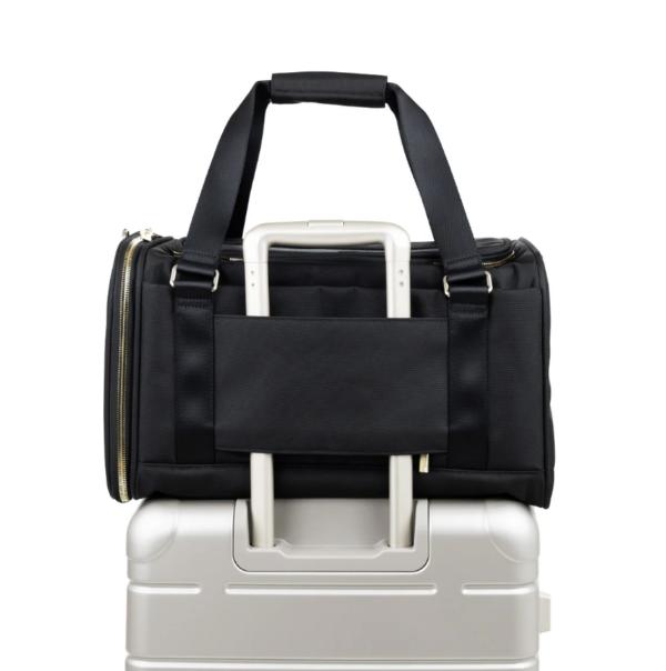 Screenshot 2026-01-24 at 10.14.47 AM Arlo