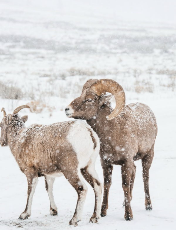 Screenshot 2026-02-14 at 10.00.26 AM