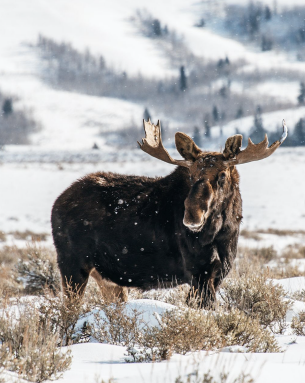 Screenshot 2026-02-14 at 10.00.48 AM