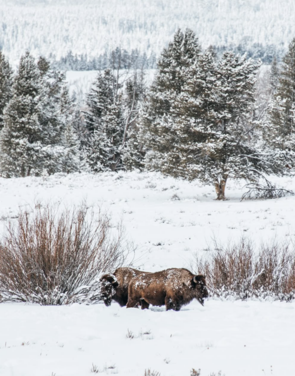 Screenshot 2026-02-14 at 10.01.41 AM