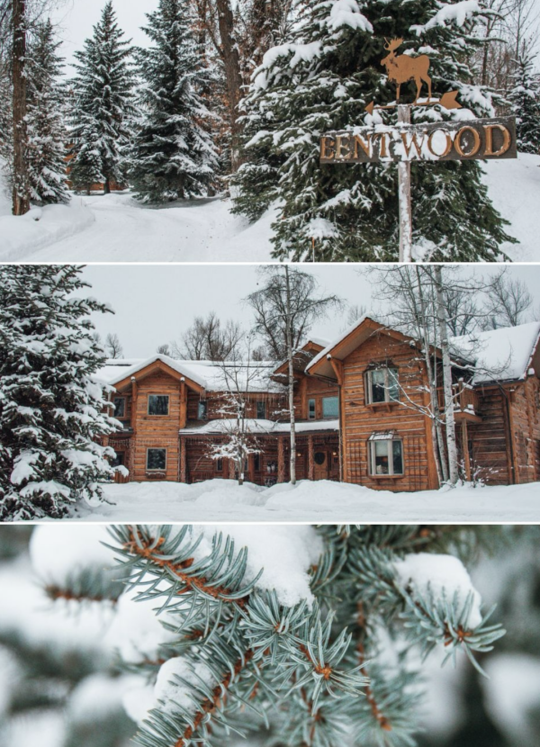 Screenshot 2026-02-14 at 10.03.27 AM