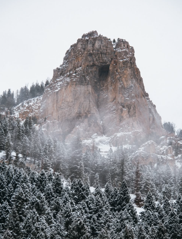 Screenshot 2026-02-14 at 10.12.09 AM