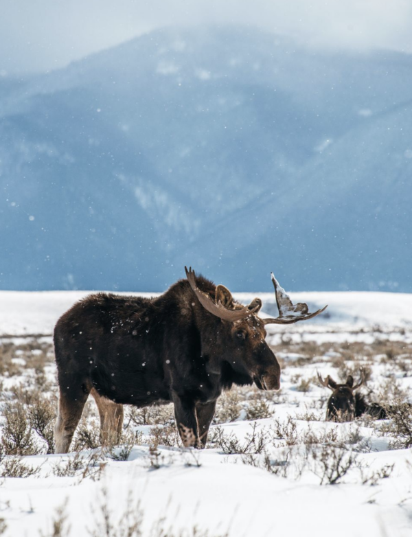 Screenshot 2026-02-14 at 10.17.23 AM