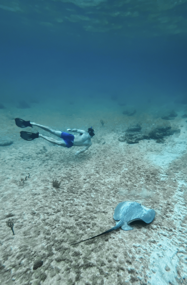 Screenshot 2026-02-17 at 4.33.12 PM