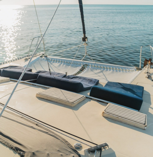 Screenshot 2026-02-17 at 4.50.13 PM