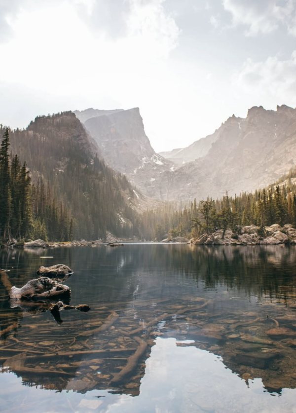 Screenshot 2026-03-21 at 9.21.57 AM